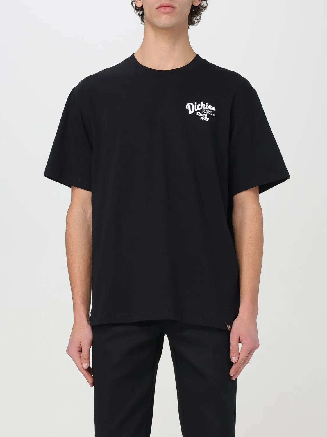 Camiseta hombre Dickies